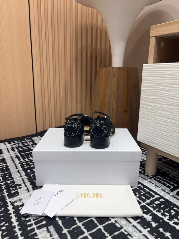 Dior Shoe 